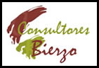 Consultores Bierzo